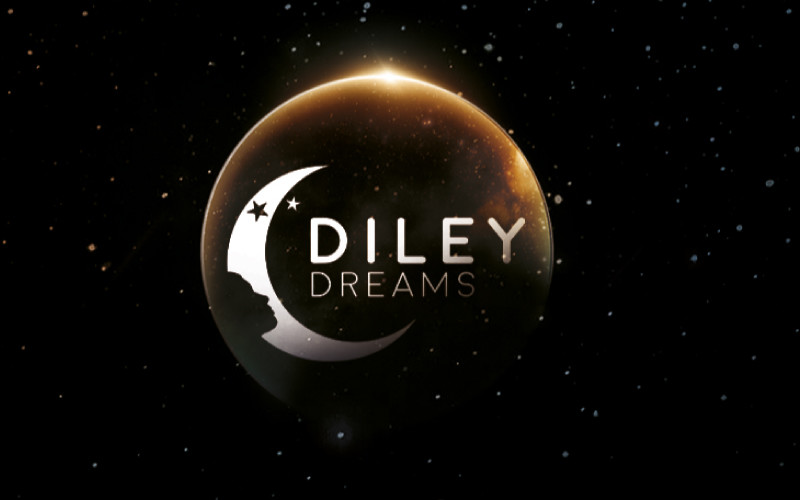 Aktueller Firmenfall über DILEY TRÄUMT - schließen Sie Dimmable-Dämmerung zu Dawn Night Light an